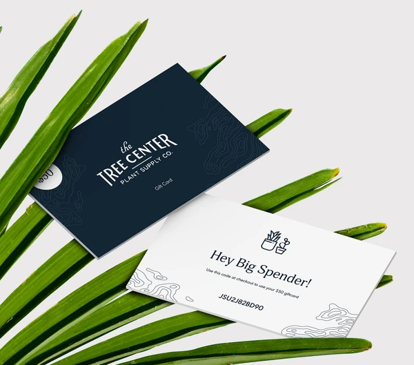 Gift Card 1 Gift Card