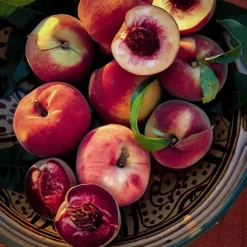 Bonfire Patio Peach Tree -The Tree Center Store bonfire patio peach 3 jpg webp