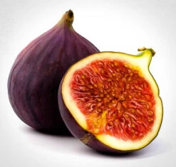 Brown Turkey Fig -The Tree Center Store brown turkey fig 1 600x572 1
