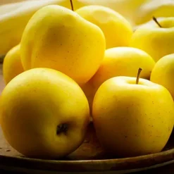 Ein Shemer Apple Tree 6 Ein Shemer Apple Tree -The Tree Center Store ein shemer apple 1 jpg webp