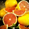 Rio Red Grapefruit Tree